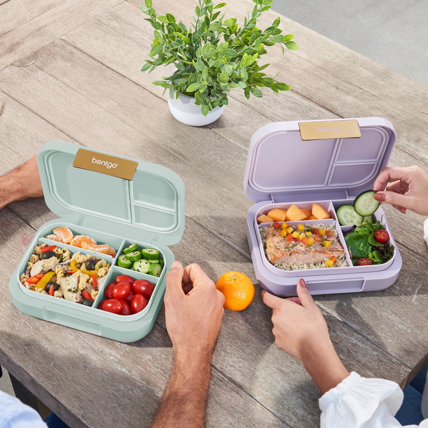 bentgo-modern-lunch-box-2-pack-t5 COSTCOBMCPRODUCTIMAGE_2.jpg
